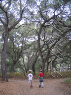 real estate, real estate broker, CAR, MCAR, monterey bay real estate, photography, web design, art, buy a home, sell a home